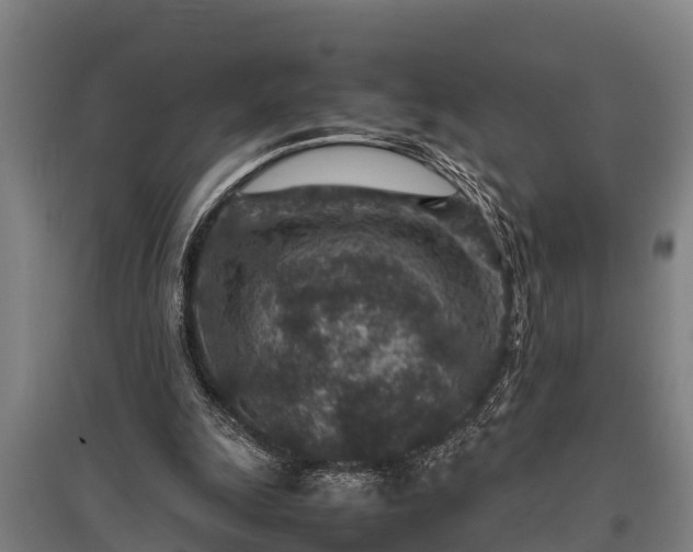 X0000095940247200801181407