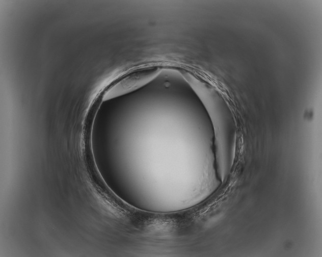 X0000095940248200801181407