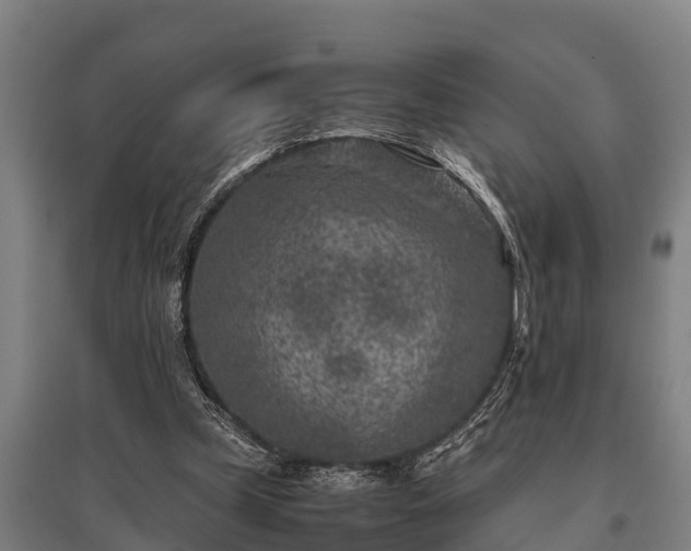 X0000095940249200801181407