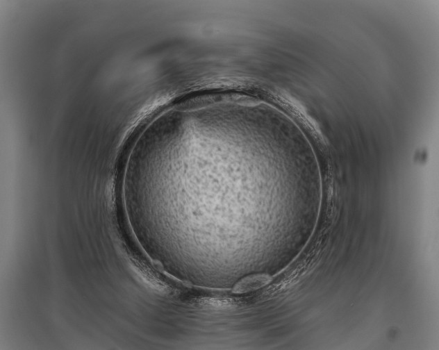 X0000095940250200801181407