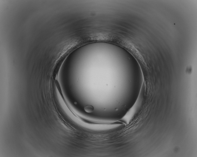 X0000095940251200801181407