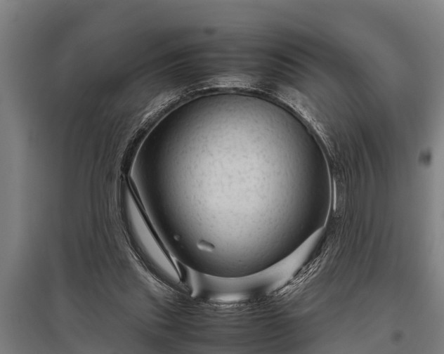 X0000095940253200801181407