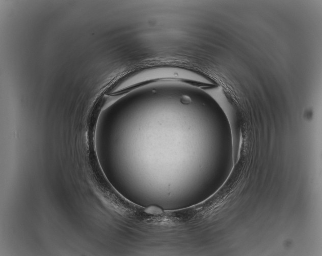 X0000095940254200801181407