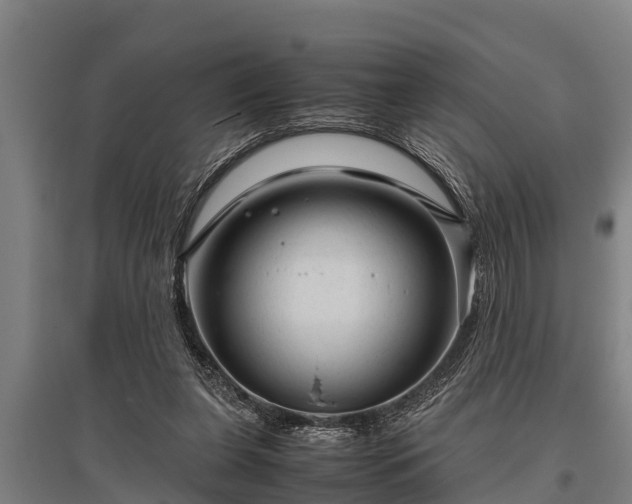X0000095940255200801181407