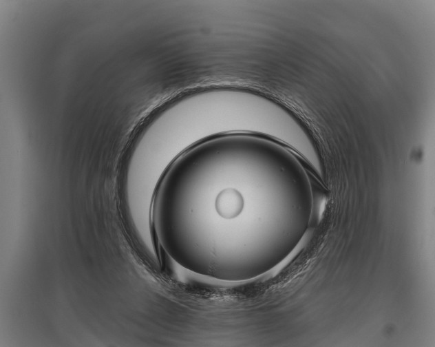 X0000095940256200801181407