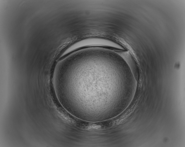 X0000095940257200801181407