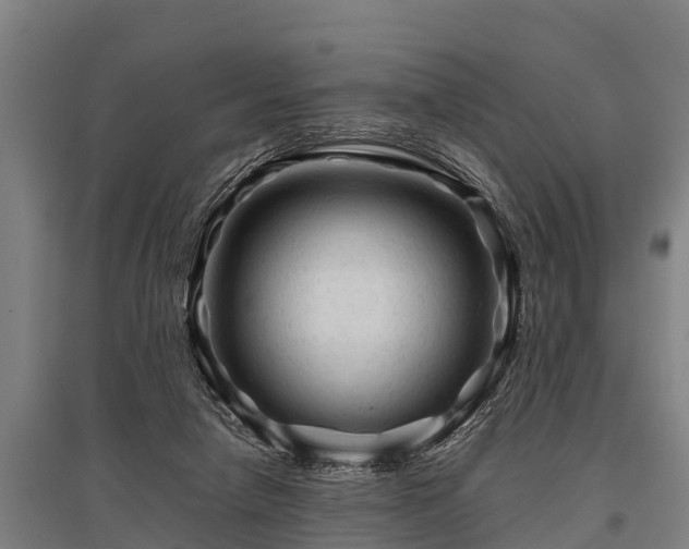 X0000095940258200801181407