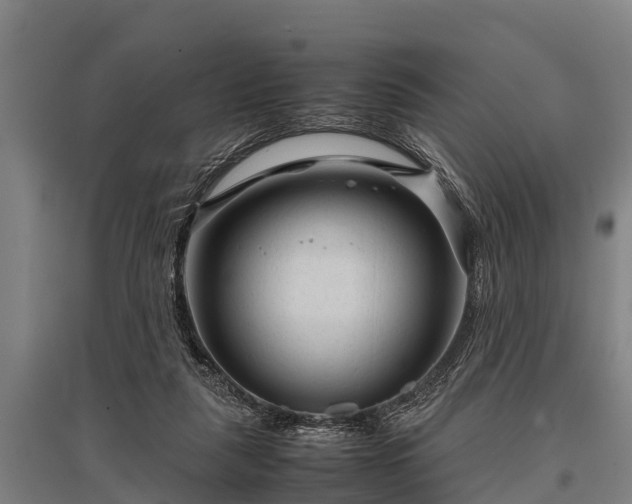 X0000095940259200801181407