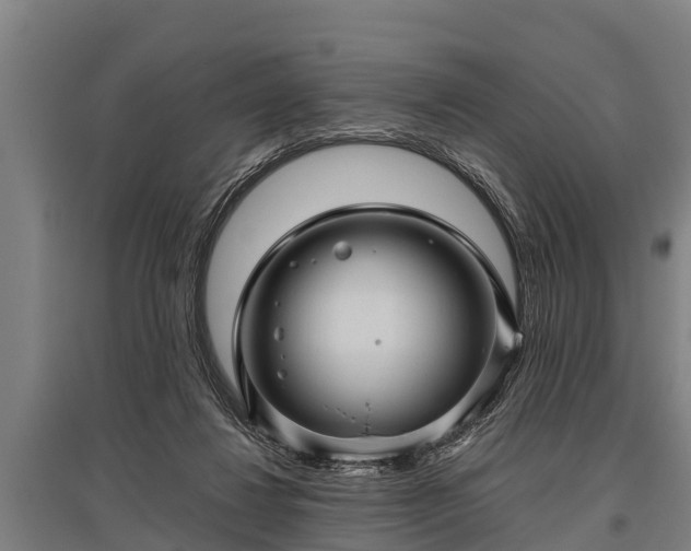 X0000095940260200801181407