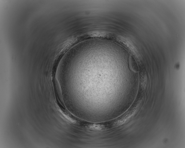 X0000095940261200801181407