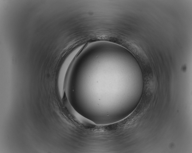 X0000095940262200801181407