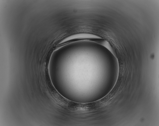 X0000095940263200801181407