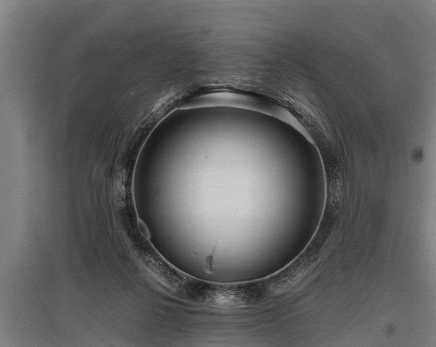 X0000095940264200801181407