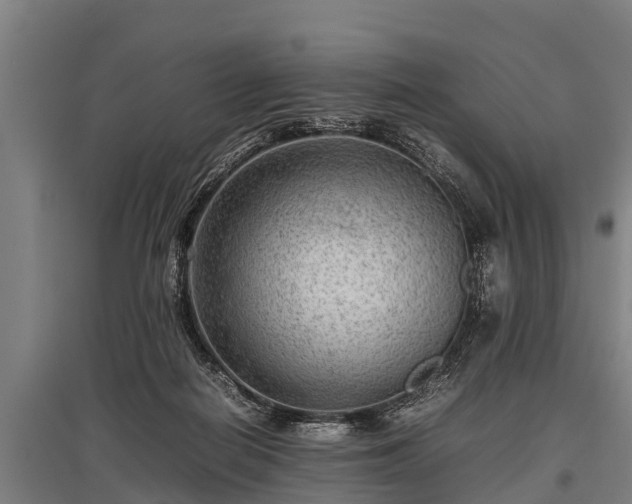 X0000095940266200801181407