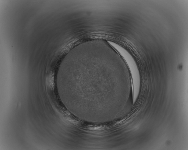 X0000095940267200801181407