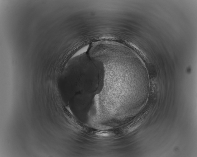 X0000095940269200801181407