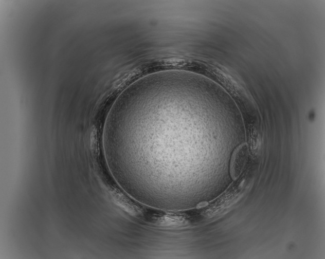 X0000095940270200801181407