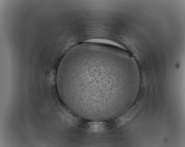 X0000095940273200801181407