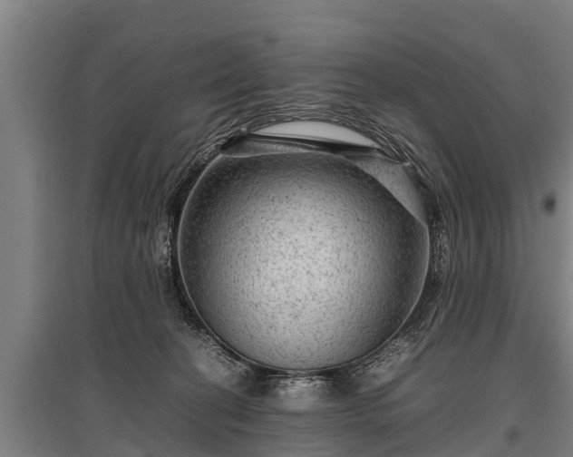 X0000095940274200801181407
