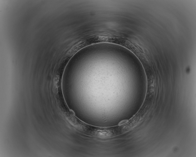 X0000095940275200801181407