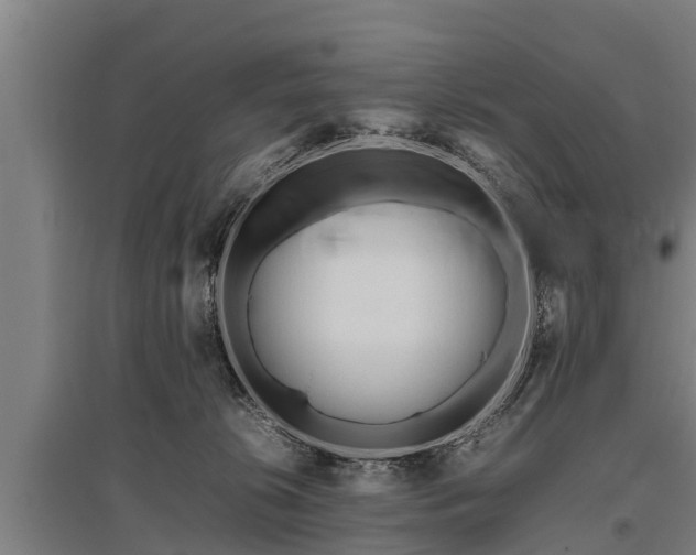 X0000095940276200801181407