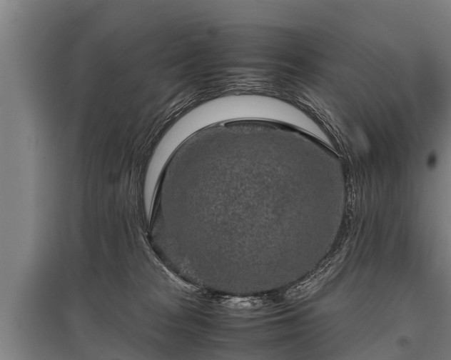 X0000095940277200801181407