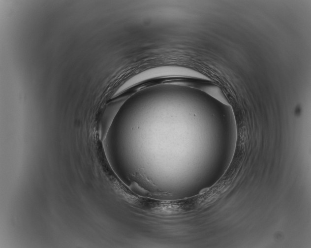 X0000095940278200801181407