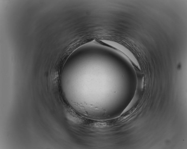X0000095940279200801181407