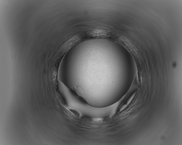 X0000095940281200801181407