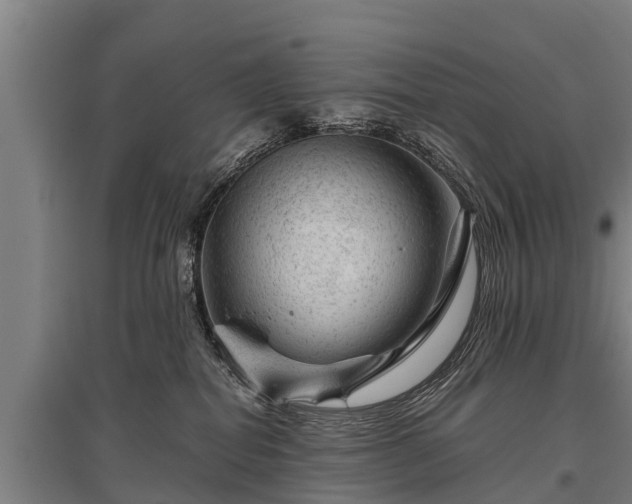 X0000095940282200801181407