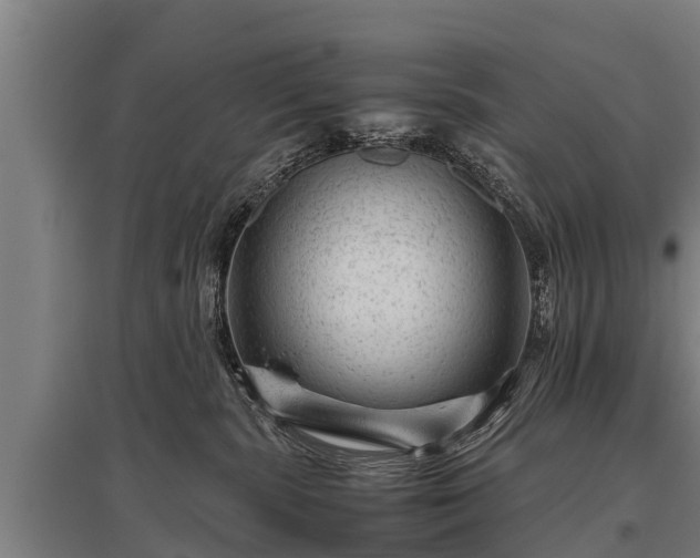 X0000095940283200801181407