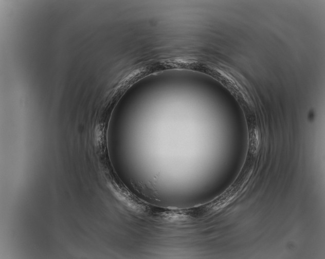 X0000095940284200801181407