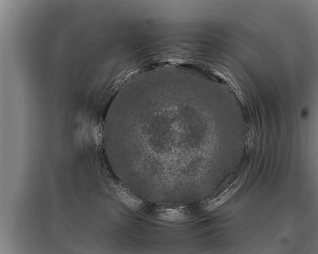 X0000095940285200801181407