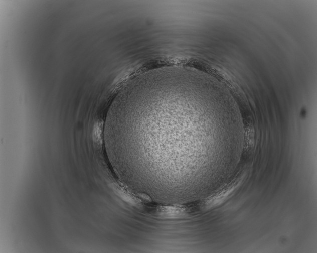 X0000095940286200801181407