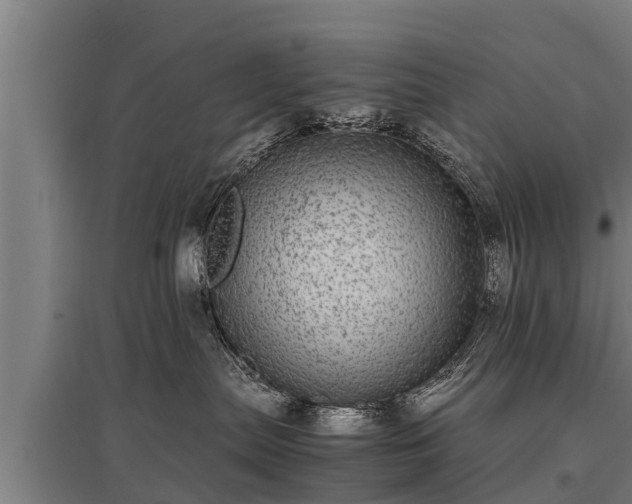 X0000095940287200801181407