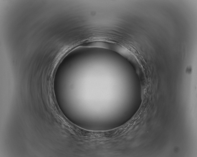 X0000095940289200801181407