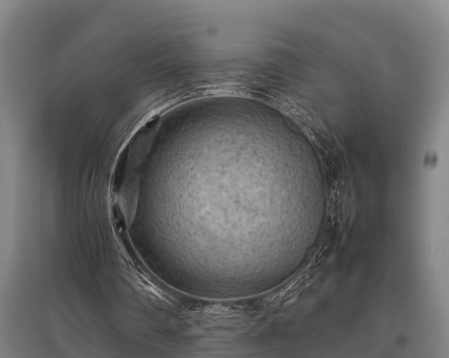 X0000095940290200801181407
