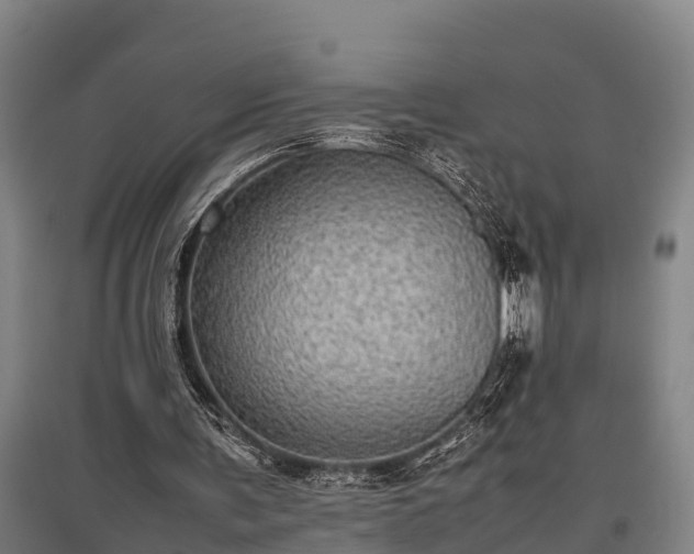 X0000095940291200801181407