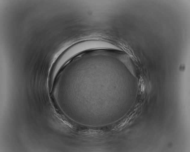 X0000095940292200801181407