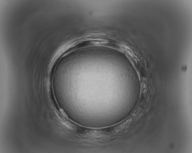 X0000095940293200801181407