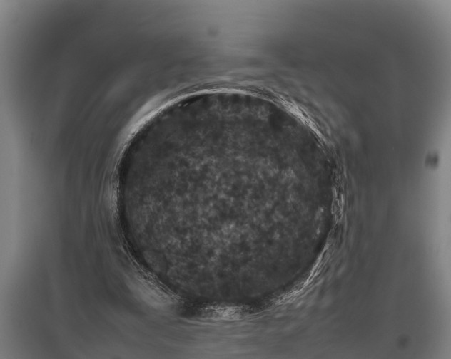 X0000095940295200801181407