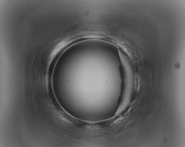 X0000095940296200801181407