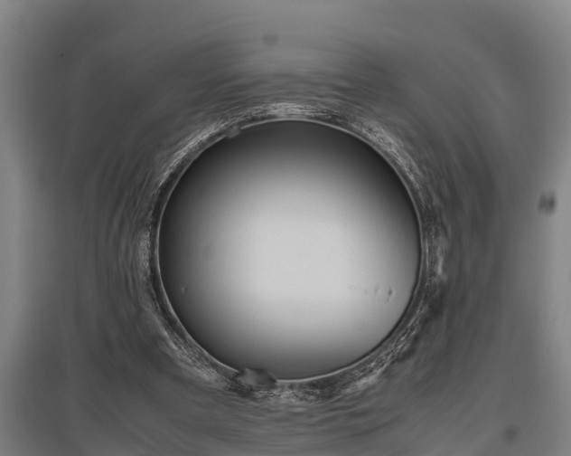 X0000095940297200801181407