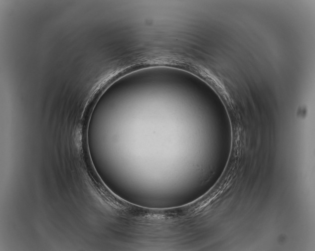 X0000095940298200801181407
