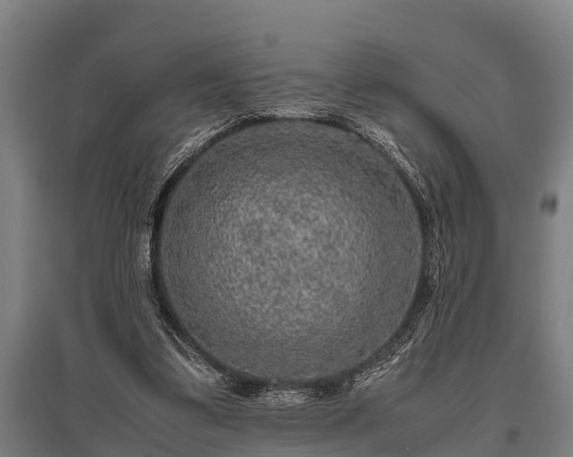 X0000095940299200801181406