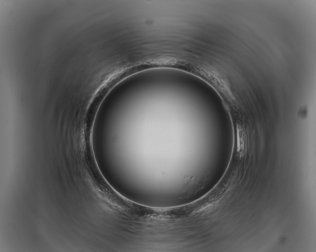 X0000095940300200801181406