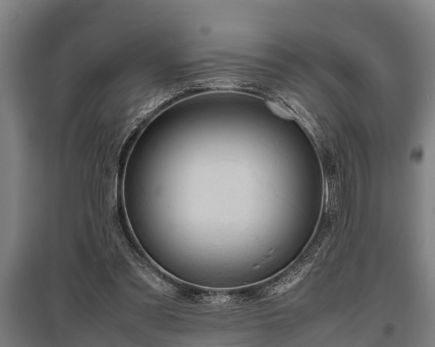 X0000095940301200801181406