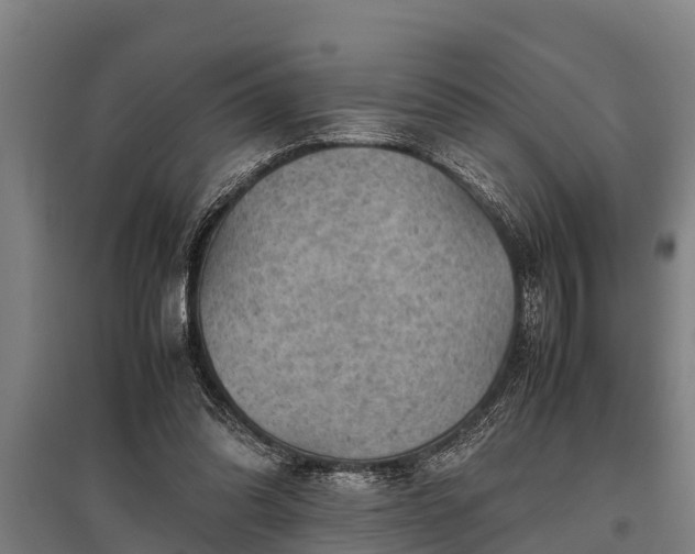 X0000095940302200801181406