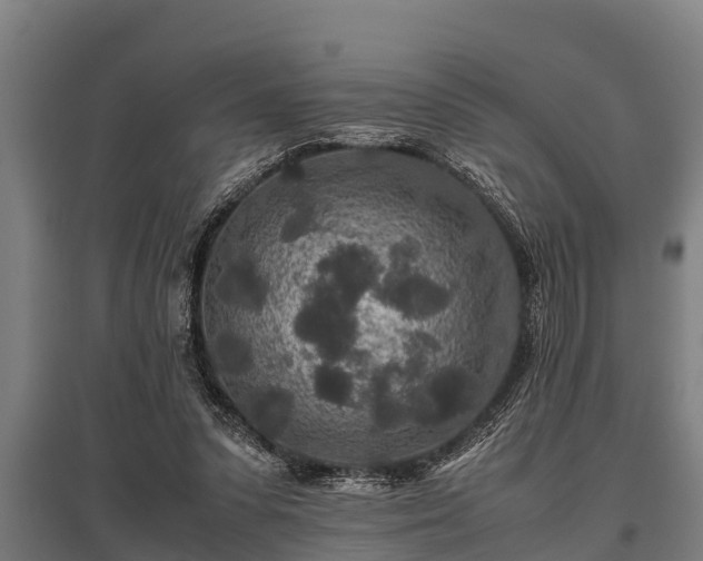 X0000095940303200801181406