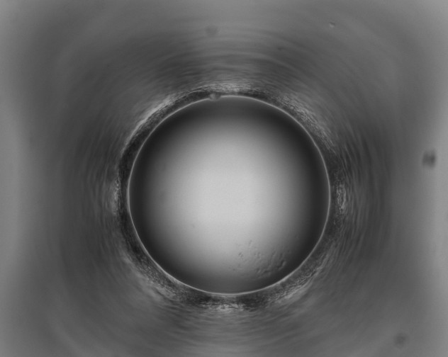X0000095940304200801181406